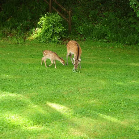 Gleann Fia Lower Coolcorcoran