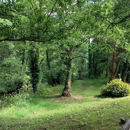 בית הארחה Gleann Fia Lower Coolcorcoran