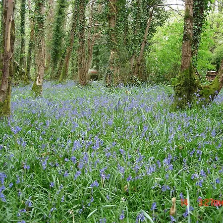 Gleann Fia בית הארחה