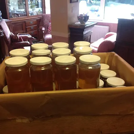 Gleann Fia Lower Coolcorcoran