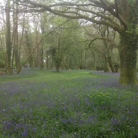 Pensión Gleann Fia Lower Coolcorcoran