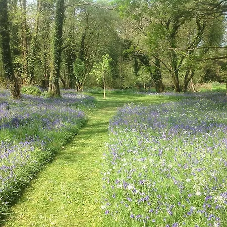 Guest house Gleann Fia 4*