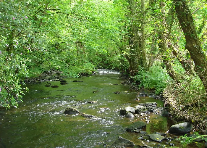 Gleann Fia Lower Coolcorcoran
