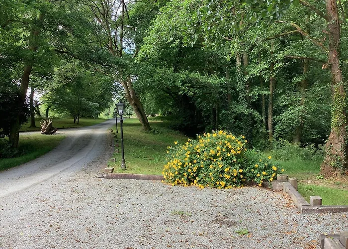 招待所 格任菲亚乡间别墅酒店 Lower Coolcorcoran