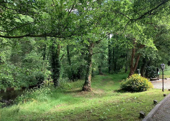 招待所 格任菲亚乡间别墅酒店 Lower Coolcorcoran