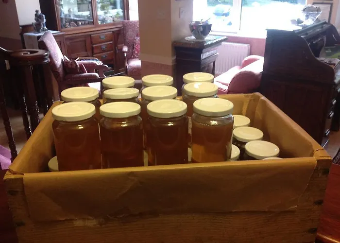 Gleann Fia Lower Coolcorcoran