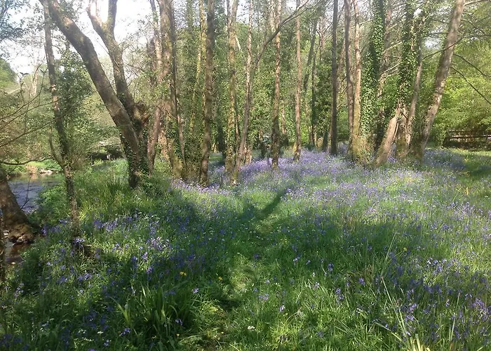招待所 格任菲亚乡间别墅酒店
