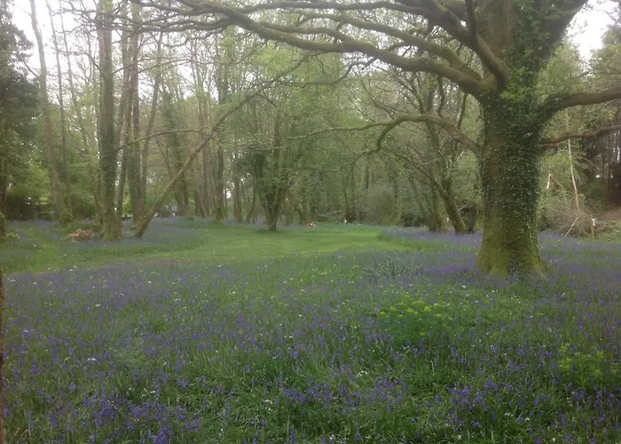 Affittacamere Gleann Fia Lower Coolcorcoran