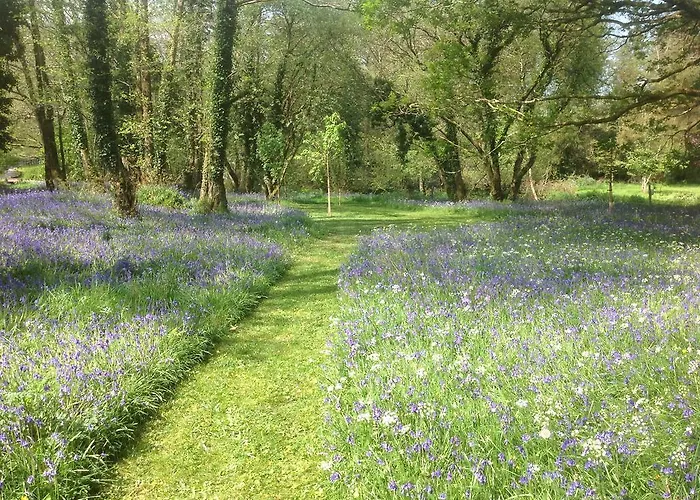 Affittacamere Gleann Fia 4*