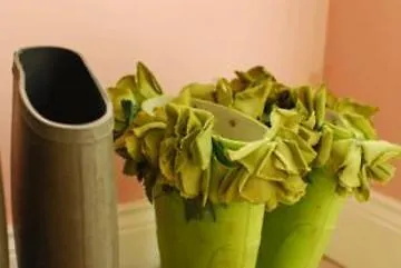 Gleann Fia Affittacamere 4*